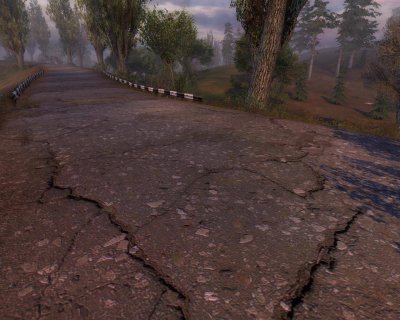 Сталкер тень Чернобыля кордон