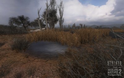 Сталкер чистое небо absolute nature