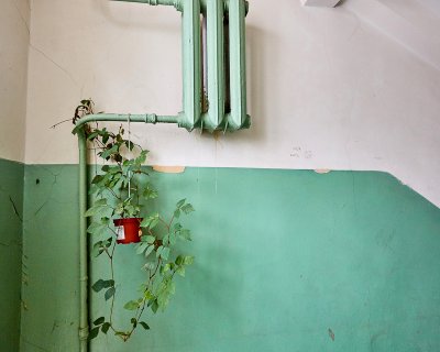 Подъездные стены