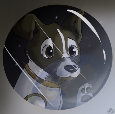 Первая собака в космосе лайка