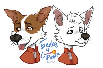 Белка и стрелка Звёздные собаки фан арт