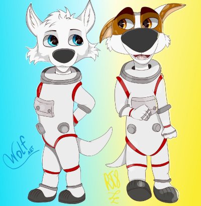 Белка и стрелка