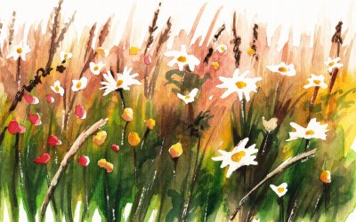 Цветочная Поляна акварель