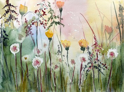 Полевые цветы акварелью