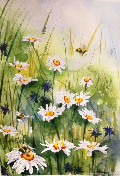 Луговые цветы живопись