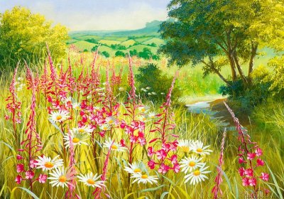 Цветы луговые, художница Mary Dipnall