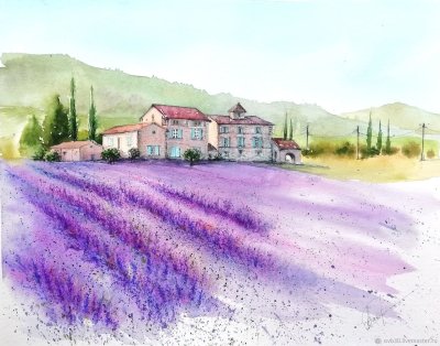 Лавандовые поля в Провансе акварель