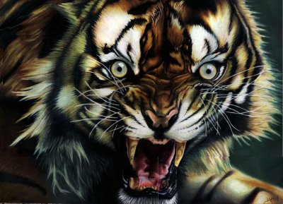 Тигр арт