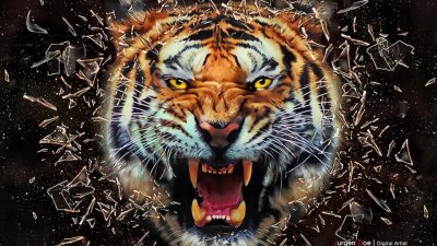 Тигр рычит