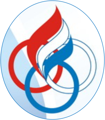 Спортивные эмблемы