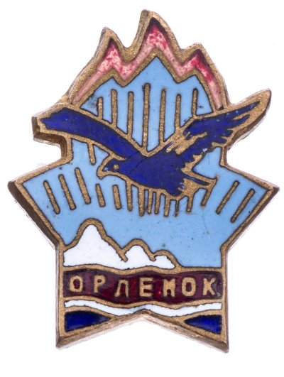 Орлёнок детский лагерь значки