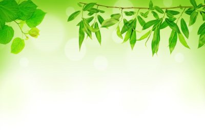 Фон для презентации природа