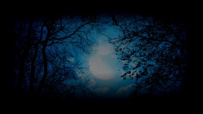 Фон профиля