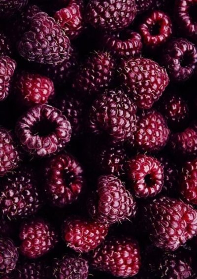 Малина и ежевика