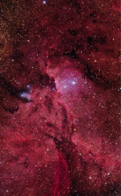 Светло бордовый