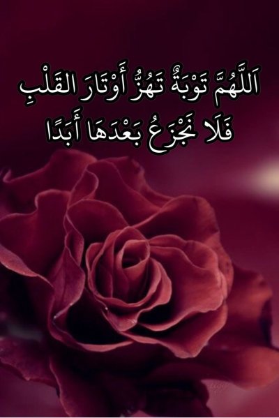 Цветы марсала