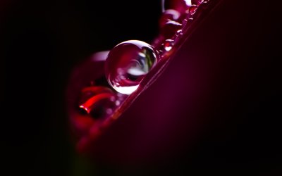 Красные капли