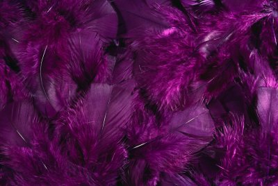 Бордовый фон