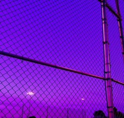 Неоновая сетка