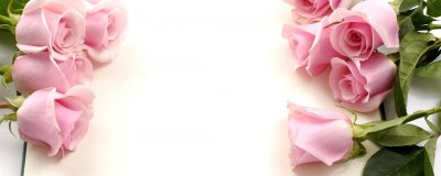 Красивый фон для открытки