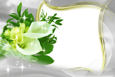 Фон для поздравления