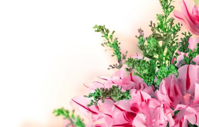 Открытка цветы