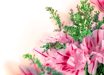 Поздравляю! (Цветок)