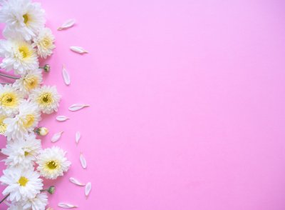 Фон с цветами