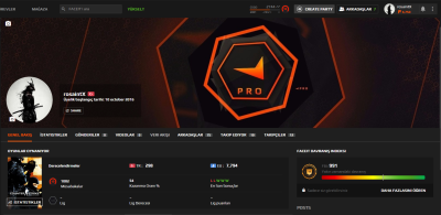 FACEIT профиль