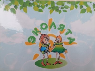 Эколята защитникики природы