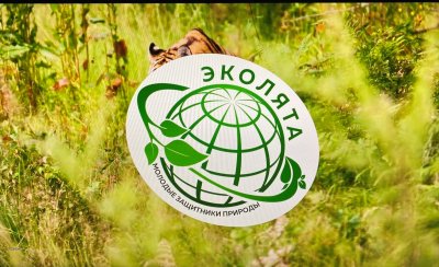 Эколята молодые защитники природы