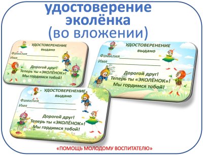 Удостоверение посвящения в Эколята