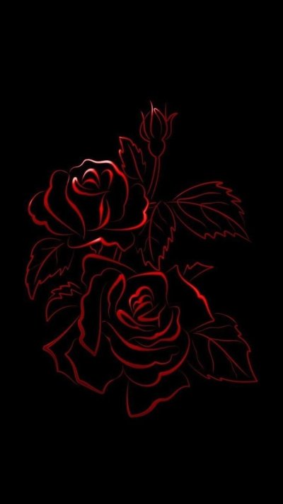 Красивые цветы на черном фоне