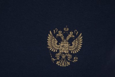 Герб России