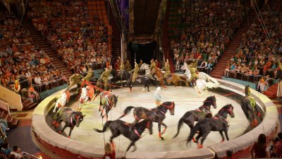 Арена цирка Иваново