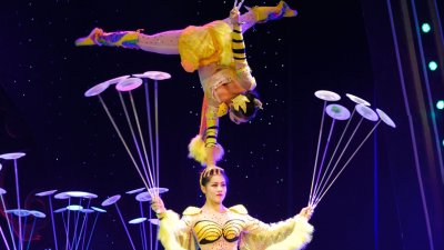 Силовая акробатика в цирке