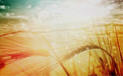 Библейские светлые фоны