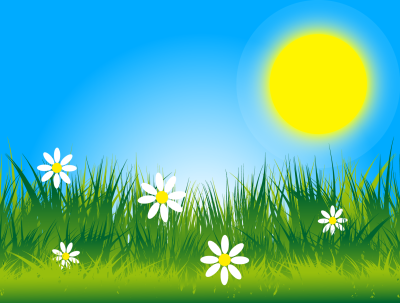 Солнце Поляна ребенок