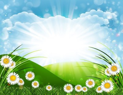 Летний фон для презентации