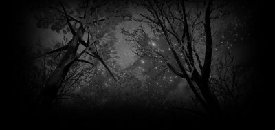 Серый фон профиля