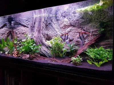 Стильный фон для аквариума