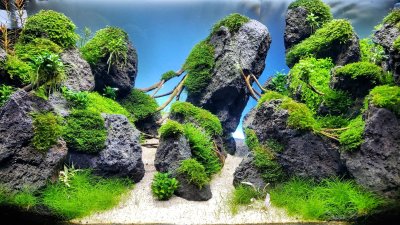 Голландский акваскейп