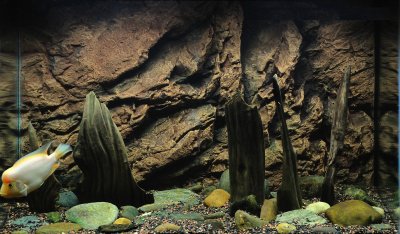 Объемный фон для аквариума