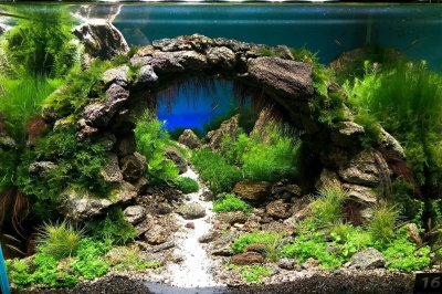 Акваскейп грот