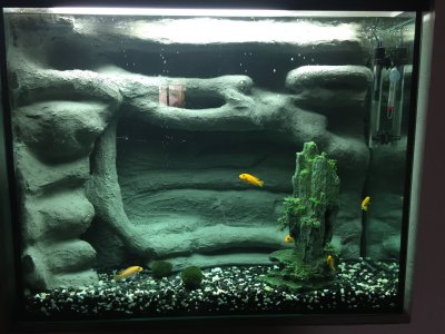 3д фон объемный в аквариум