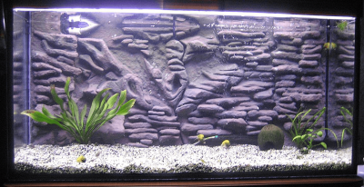 Декорация задней стенки в аквариум