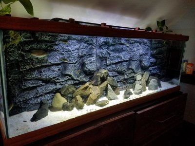 3д фон для аквариума