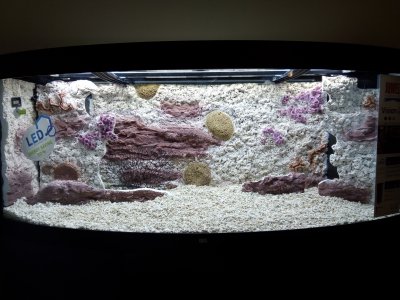 Объемный фон для аквариума