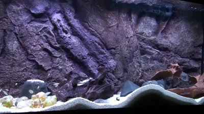 3д фон для аквариума