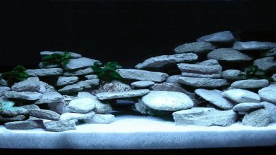 Фон для аквариума камни